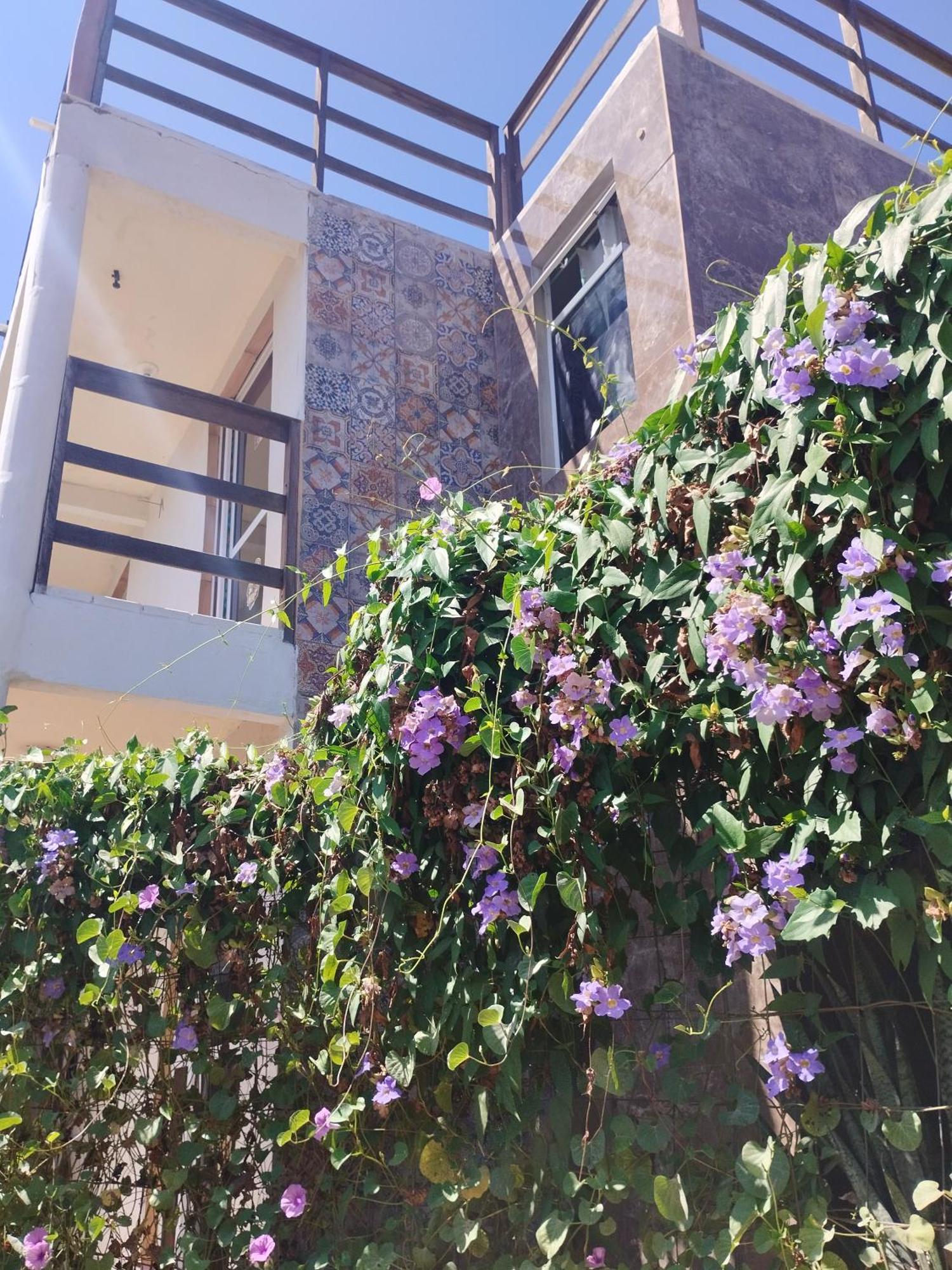 Seomarujo Rent A Room Morro Branco Бебериби Экстерьер фото
